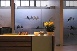 Kuş temalı ofis cam buzlama, kumlama