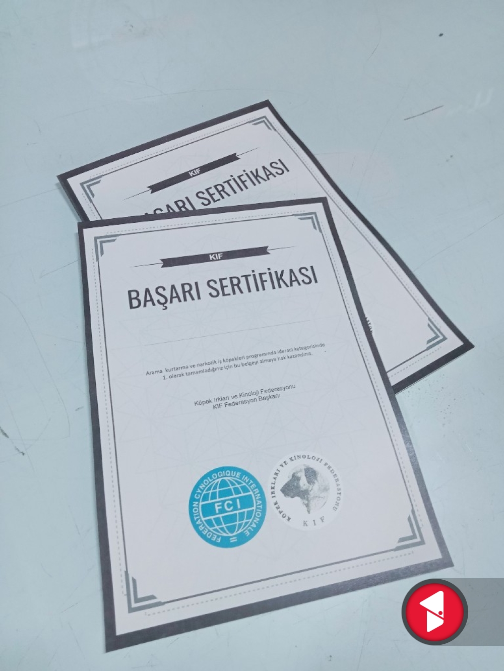 Başarı sertifikası