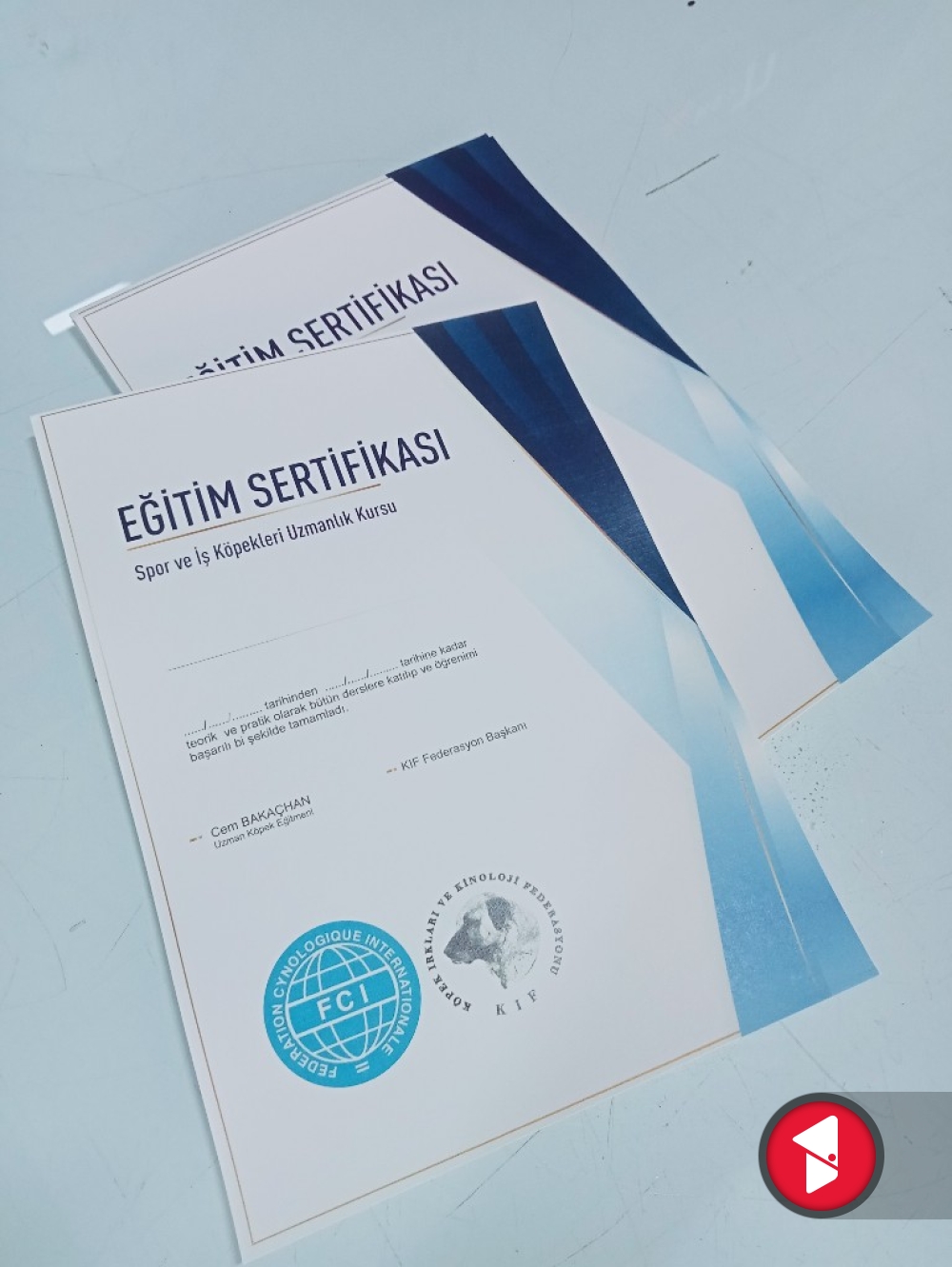 Eğitim sertifikası